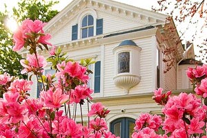 欢迎在宝塔面板安装Z-BlogPHP！