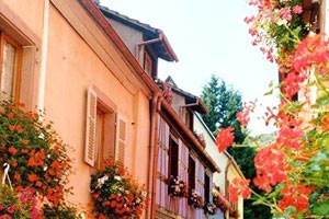 欢迎在宝塔面板安装Z-BlogPHP！